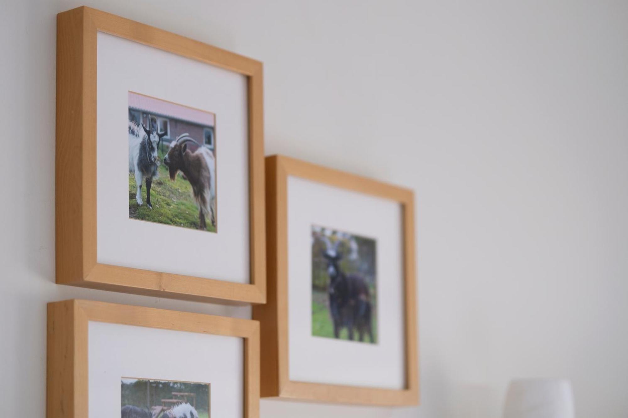 비어트 Op D'N Stolberg B&B 외부 사진